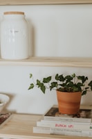 A wooden shelf displaying a white jar labeled 'Sugar' with a cork lid sits on the upper part of the shelf. Below, a green potted plant is placed next to a stack of books, including titles like 'the hygge life' and 'Andy Warhol: 15 Minutes Eternal'. The arrangement gives a minimalist and cozy aesthetic.