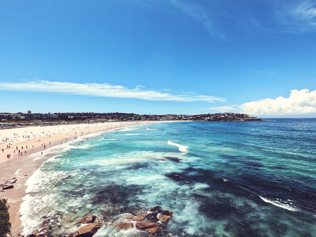 Beach photo spot Bondi Beach Waverley Cemetery