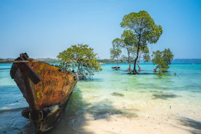 brown boat on beach during daytime