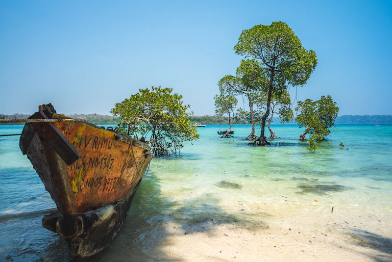 Mangrove trees and turquoise shallows on an Andaman Islands shoreline