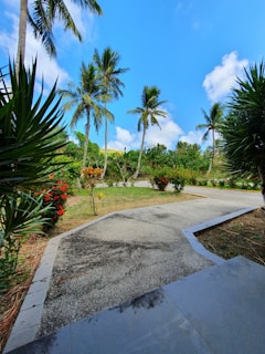 A pathway surrounded by lush greenery and tall palm trees, with a bright blue sky and scattered clouds overhead.