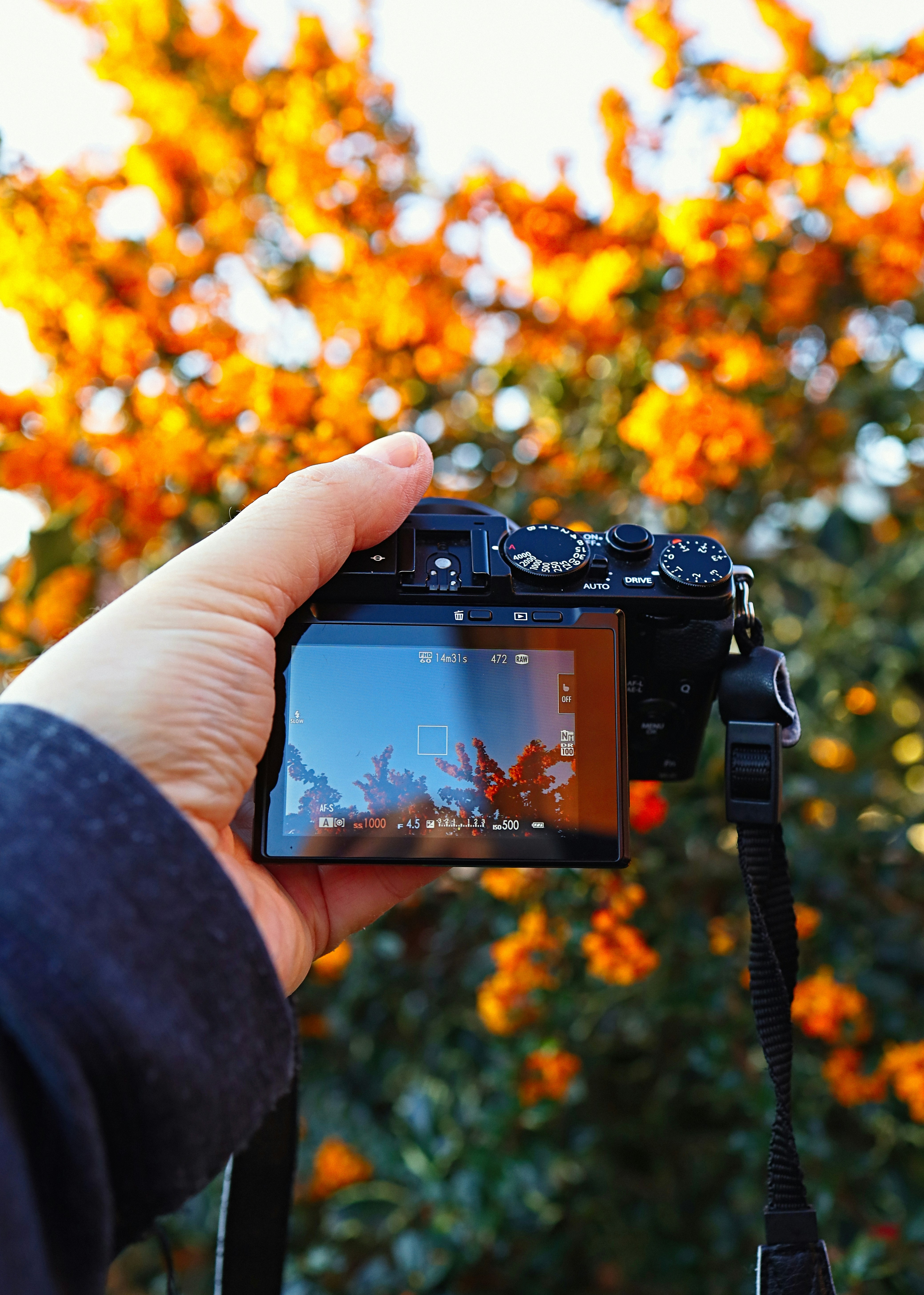 Photo by grievek1610begur