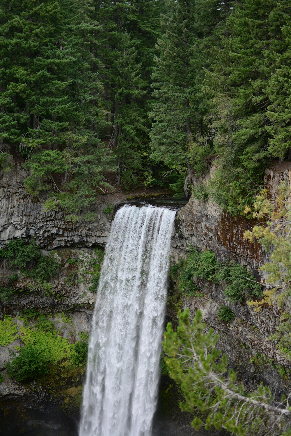 waterfalls in forest during daytime