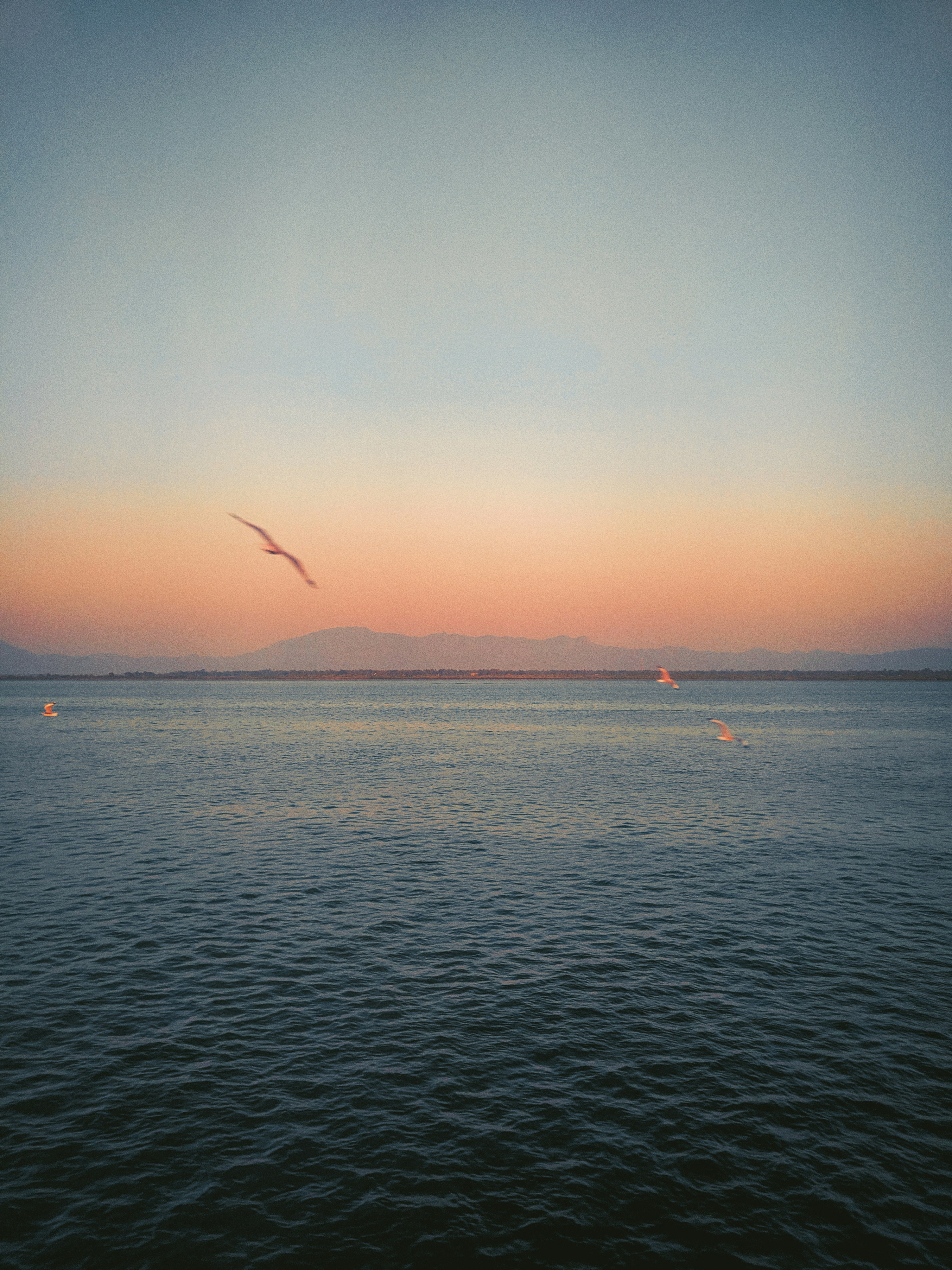 body of water during sunset