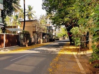 A residential street lined with lush green trees and small houses. The road is shaded with overhanging branches and scattered with yellow fallen flowers. Palm trees rise in the background, and the scene is brightly lit by sunlight, creating a serene and peaceful atmosphere.