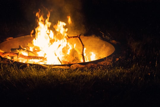 fire in the middle of the woods in Eichwalde Germany