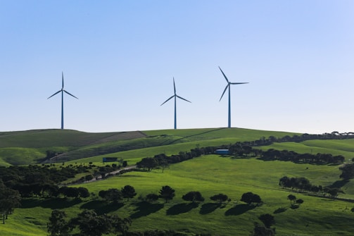 Rows of wind turbines spinning gracefully on a green hillside.