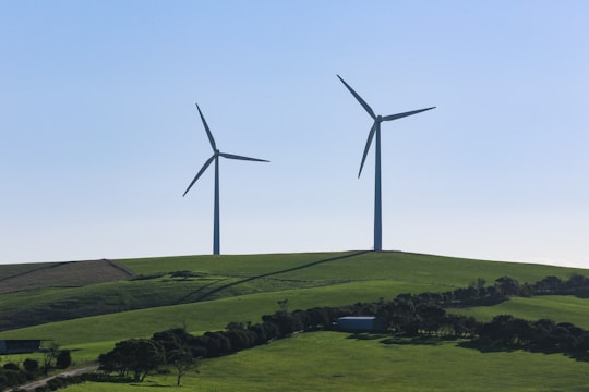 white wind turbines on green grass field under blue sky during daytime in Starfish Hill Australia
