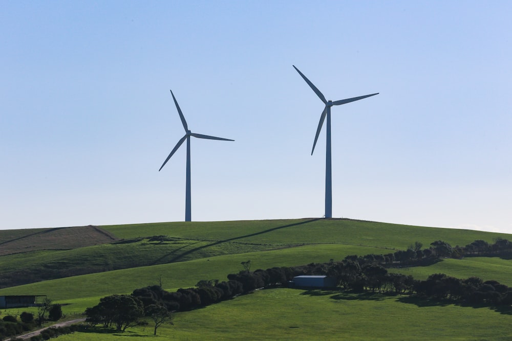 white wind turbines on green grass field under blue sky during daytime