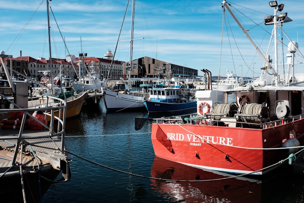 red and white boat on sea during daytime