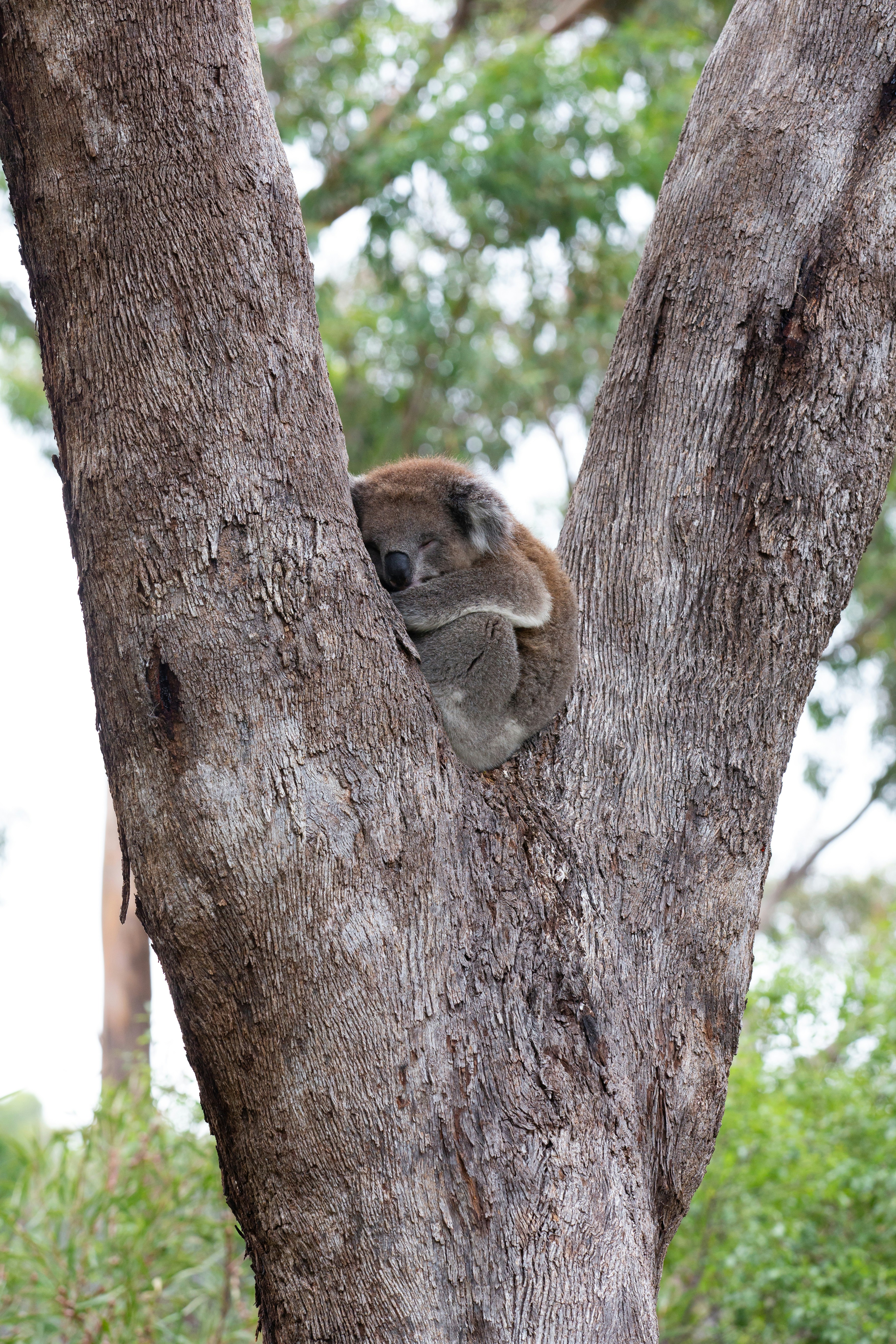 Photo by alexeckermann