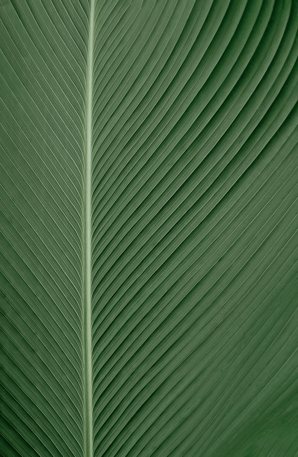 grün-weiß gestreiftes Textil