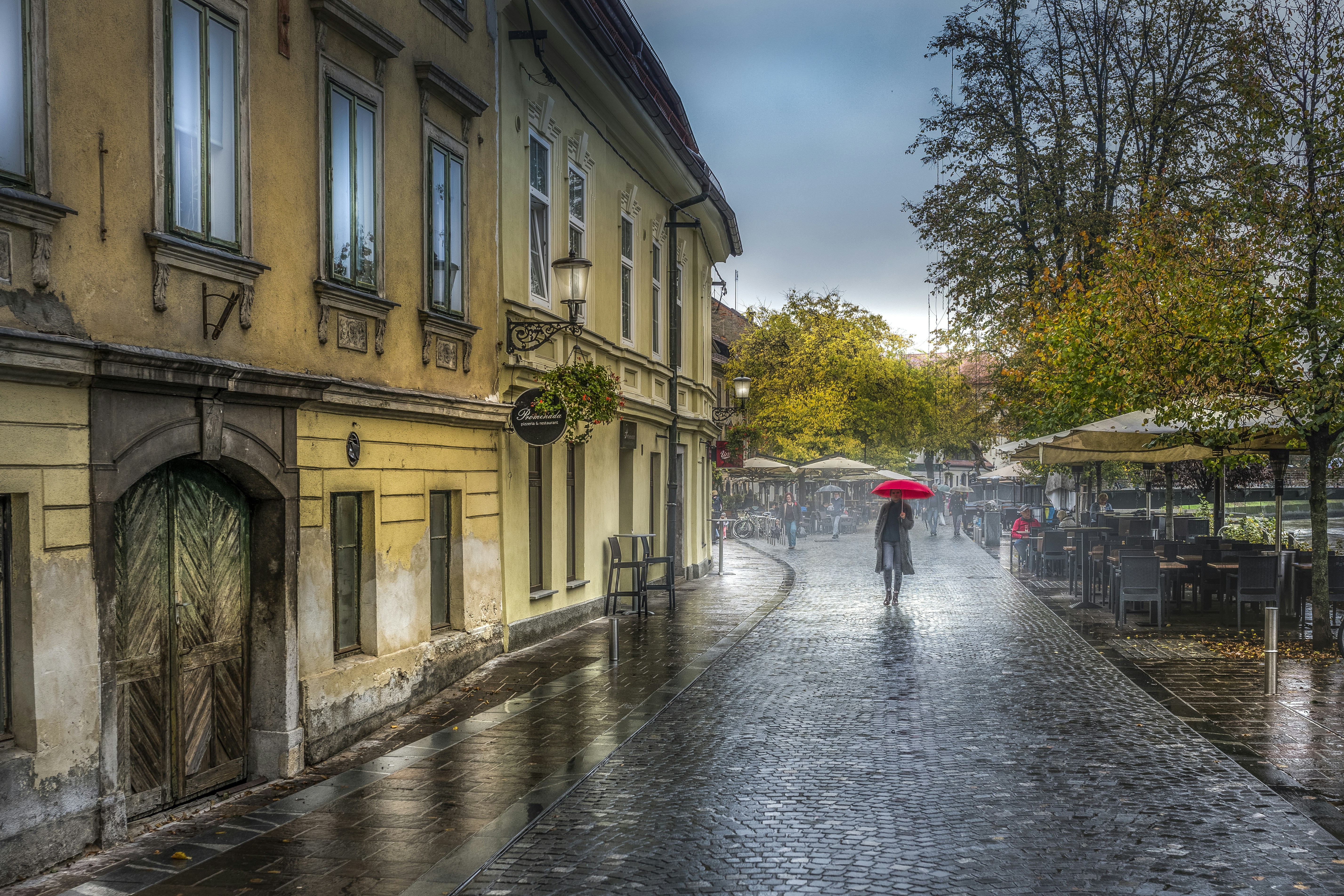 people walking on street during daytime