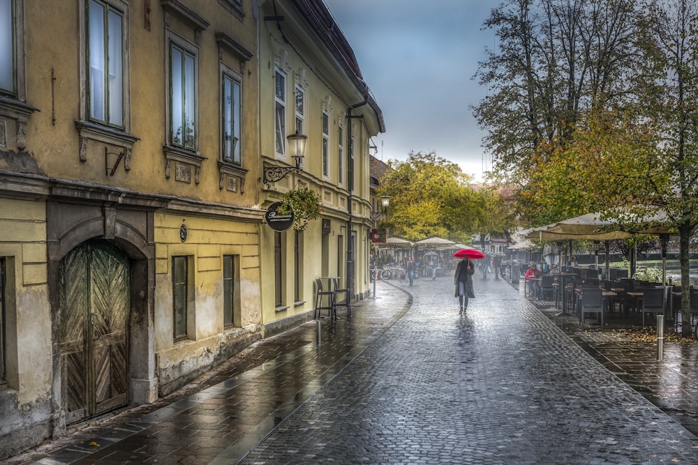 people walking on street during daytime