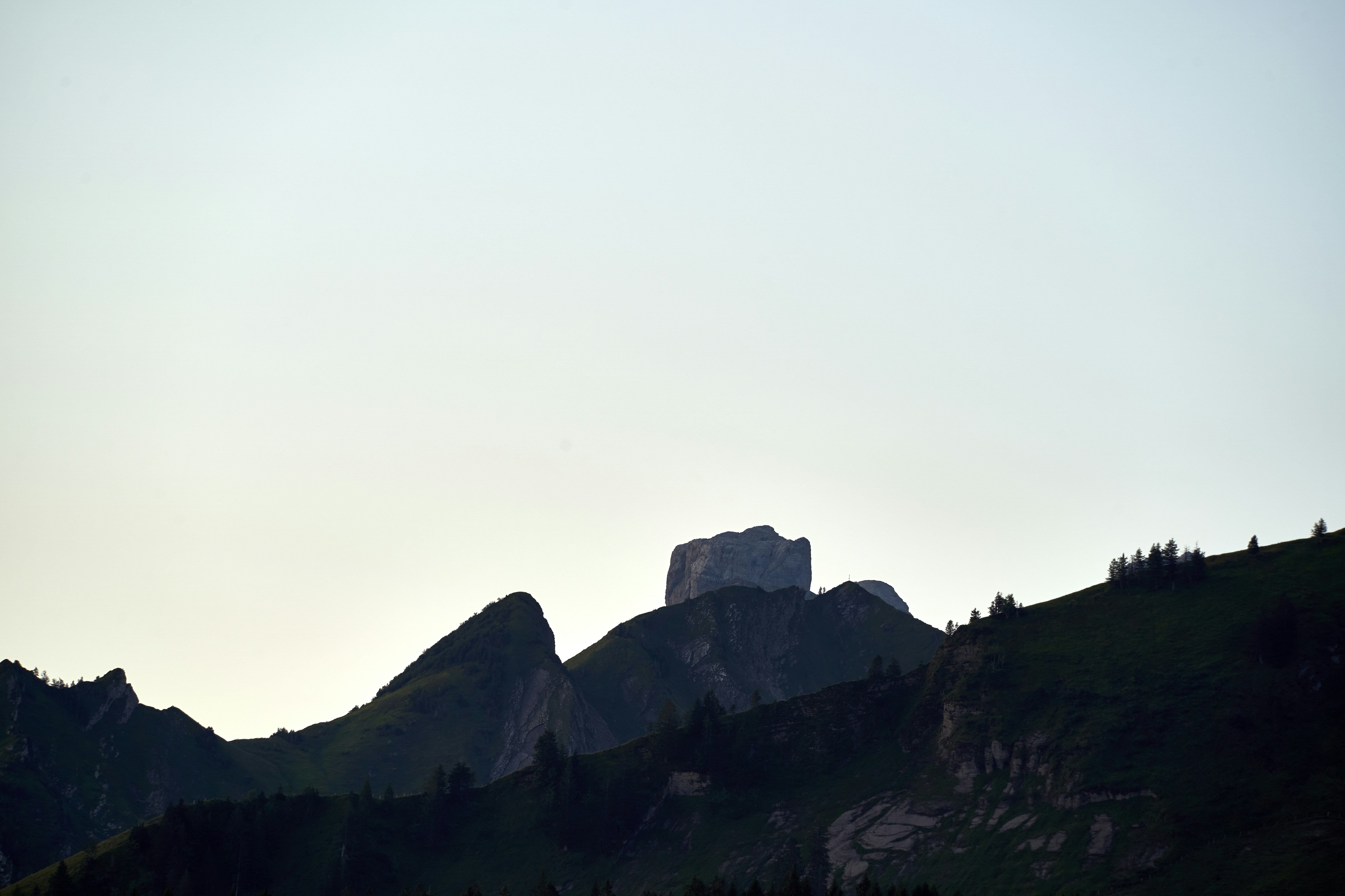 Photo by wolfgang_hasselmann