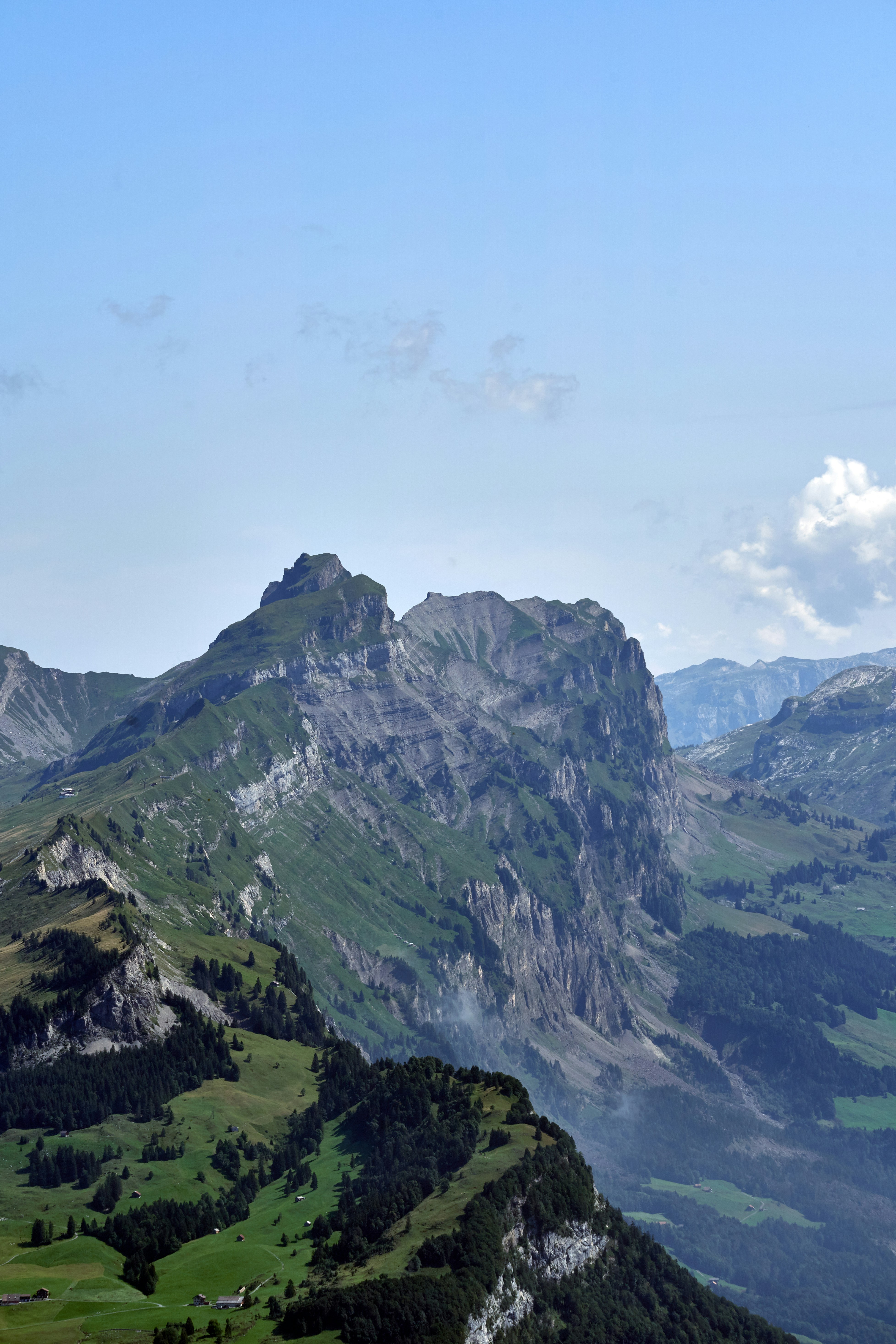 Photo by wolfgang_hasselmann