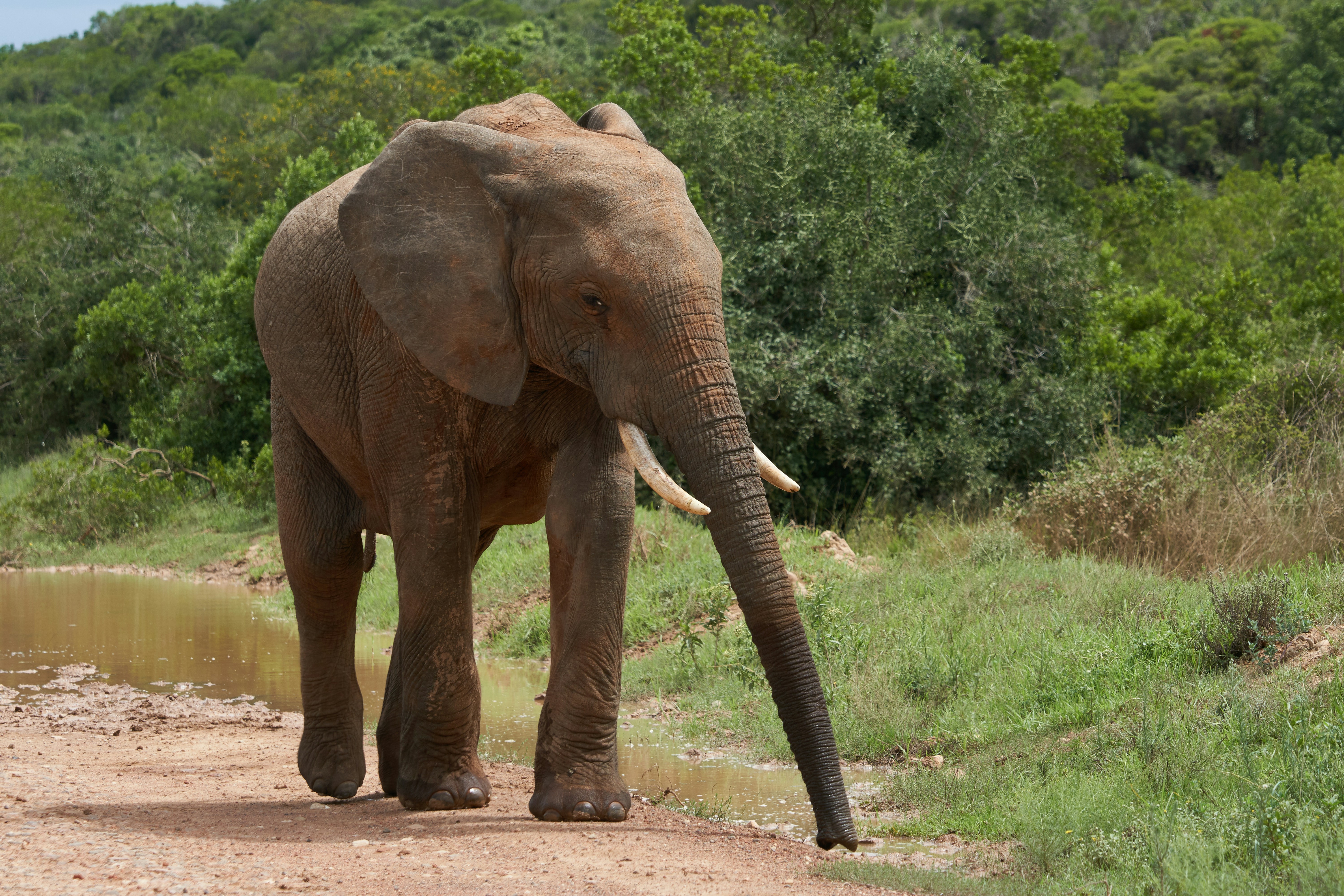 Photo by wolfgang_hasselmann