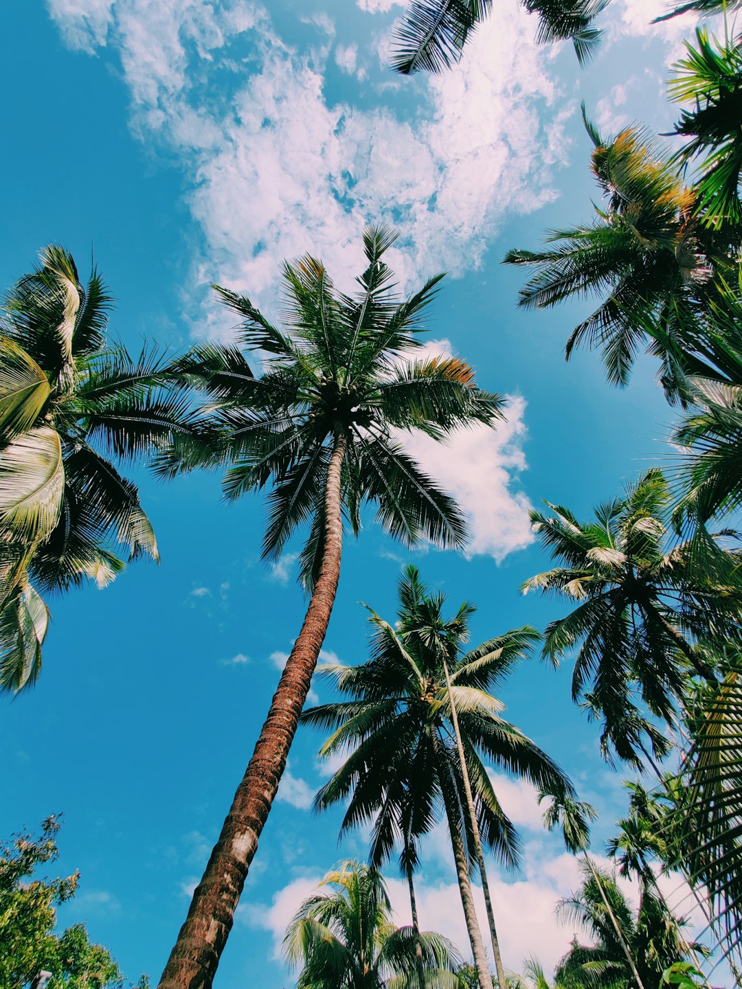 photo of Udupi Tropics near St. Mary's Islands