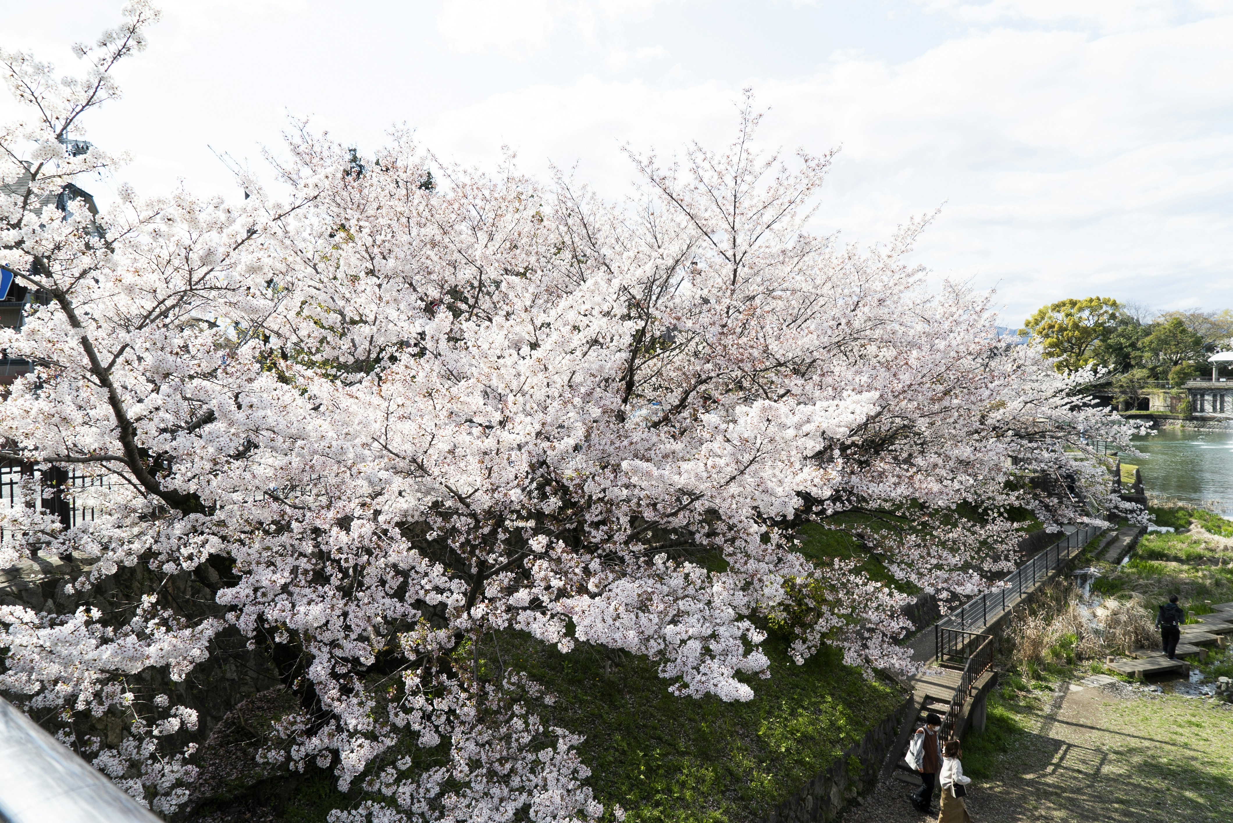 Photo by davidemrich