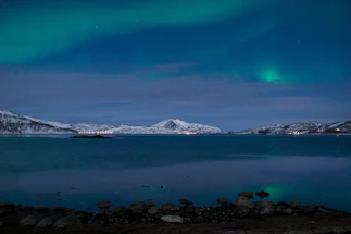 A serene Arctic landscape with soft glowing northern lights above icy waters.