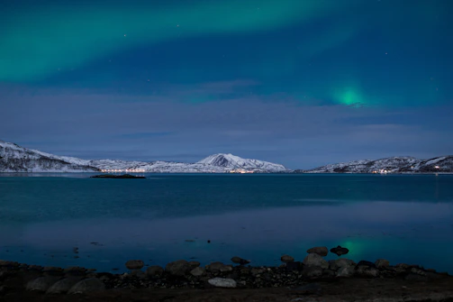 A serene Arctic landscape with soft glowing northern lights above icy waters.