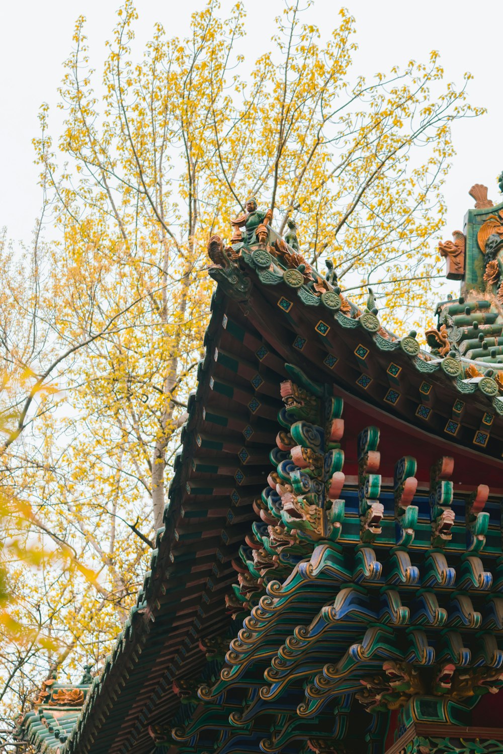 brown and green wooden roof