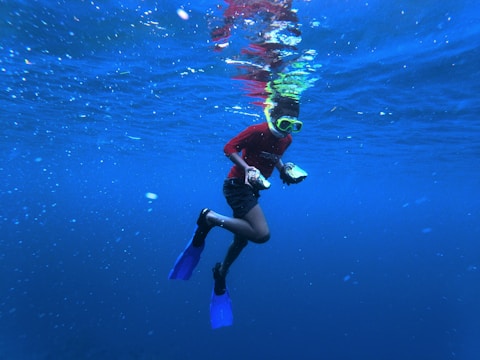 An individual wearing snorkeling gear is submerged underwater, holding objects in both hands. They are dressed in a red shirt and black shorts, with blue flippers on their feet.