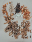 Various types of dried herbs and roots arranged on a light surface. The collection includes orange slices, white pebbles, dark brown pods, and twisted brown bark. The arrangement is in small piles, showcasing the different textures and forms.