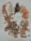 Various types of dried herbs and roots arranged on a light surface. The collection includes orange slices, white pebbles, dark brown pods, and twisted brown bark. The arrangement is in small piles, showcasing the different textures and forms.
