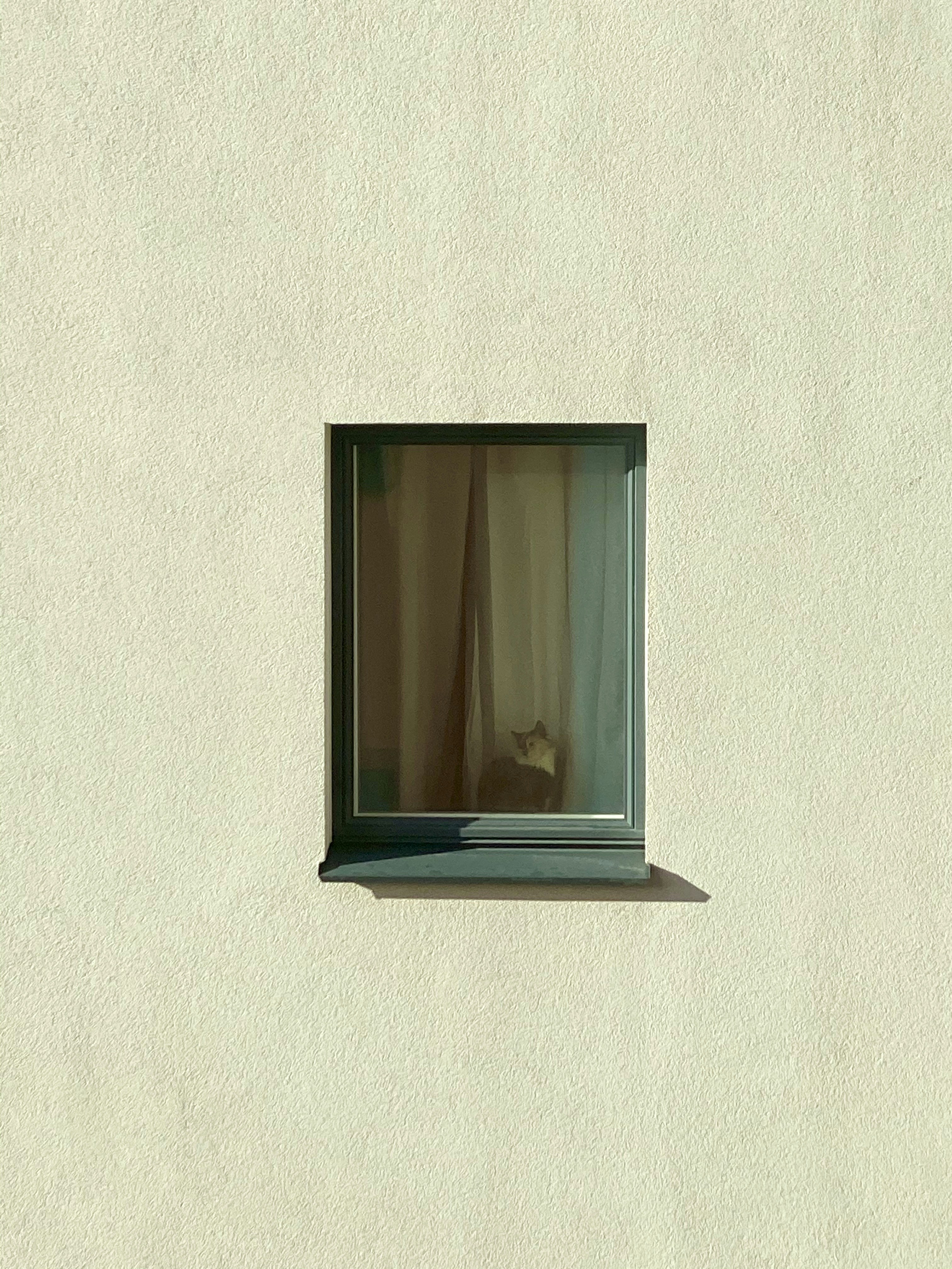 modern_window_film_technology