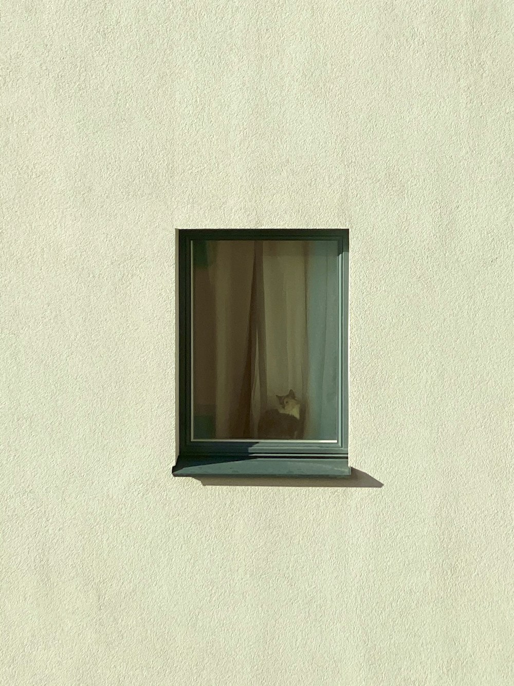 ventana de vidrio con marco de madera negra