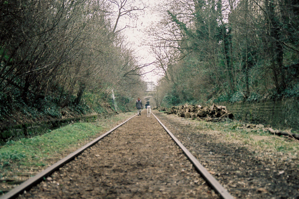 Railway tracks running through floodwater