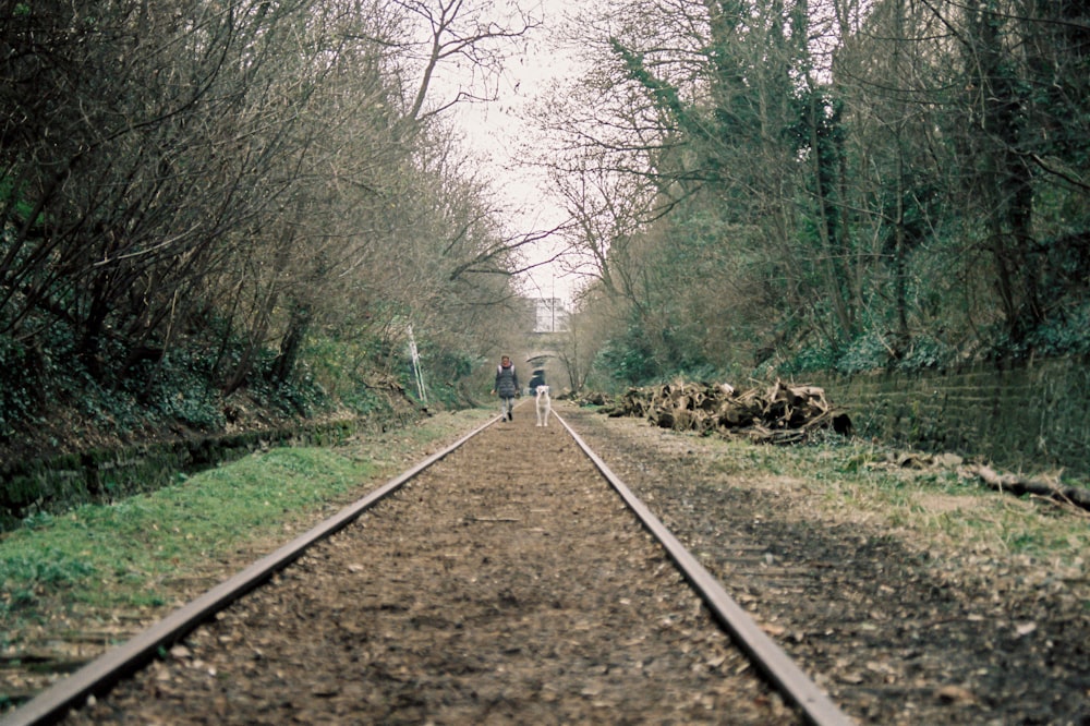 2 people walking on train rail during daytime