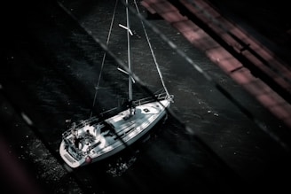 A sailboat with a white hull navigates through dark waters, viewed from above. The boat is manned by a few individuals and surrounded by a subtle play of light and shadow, creating an atmospheric scene.
