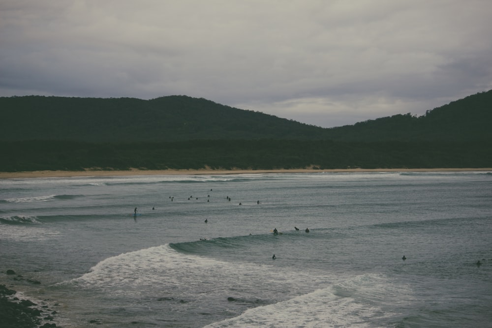 people on beach during daytime