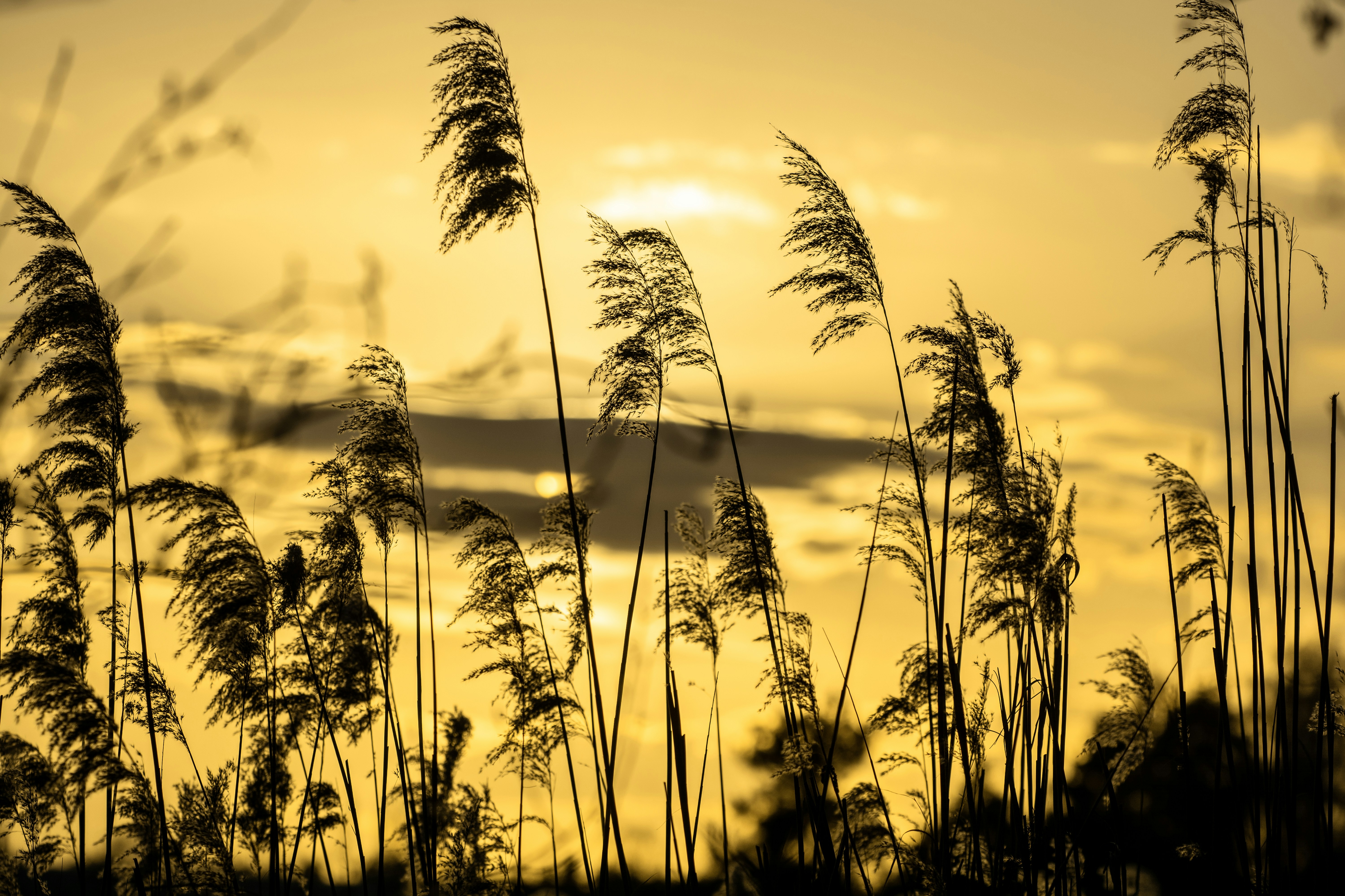 Photo by henrykfoto66