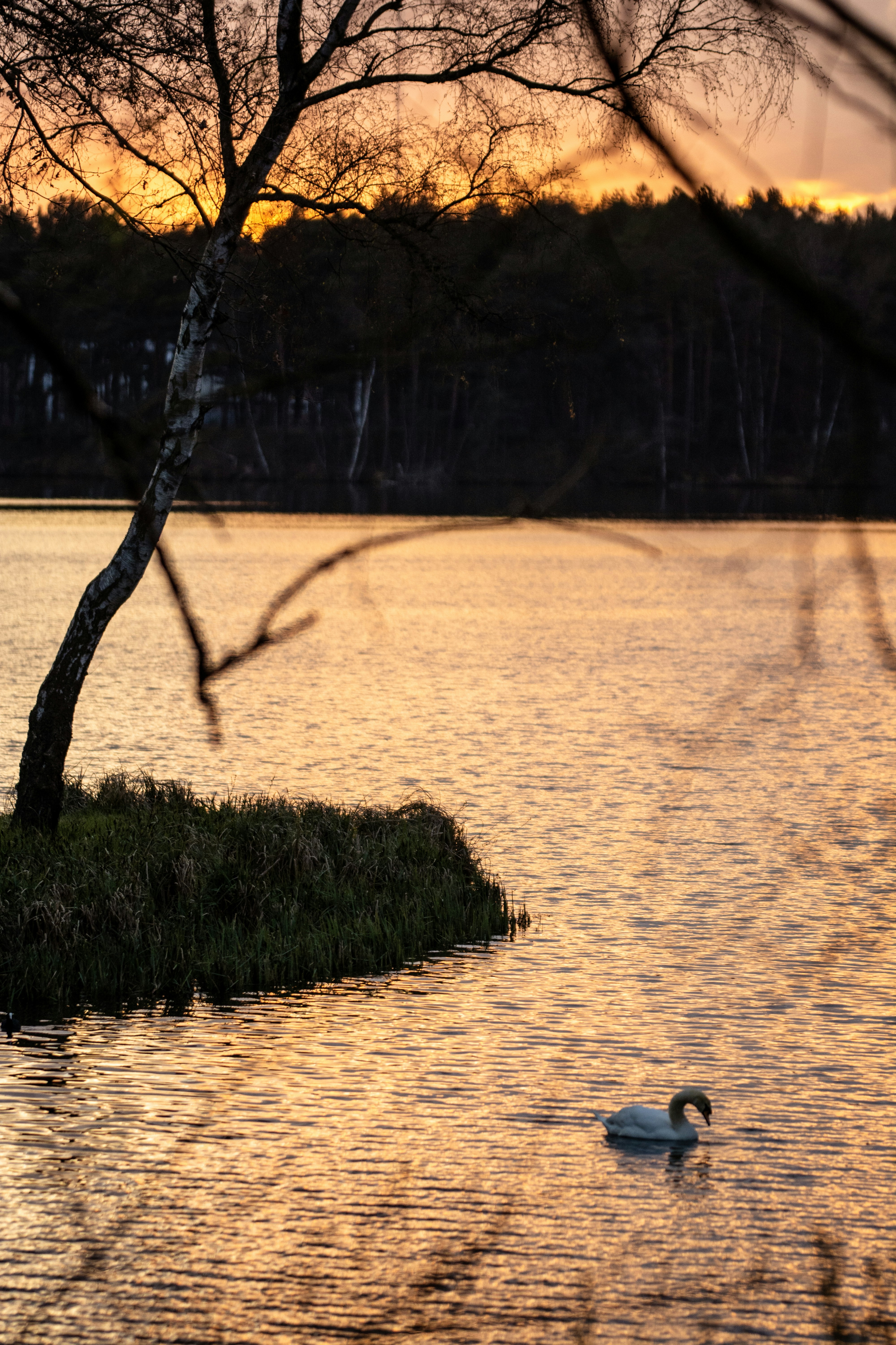 Photo by henrykfoto66