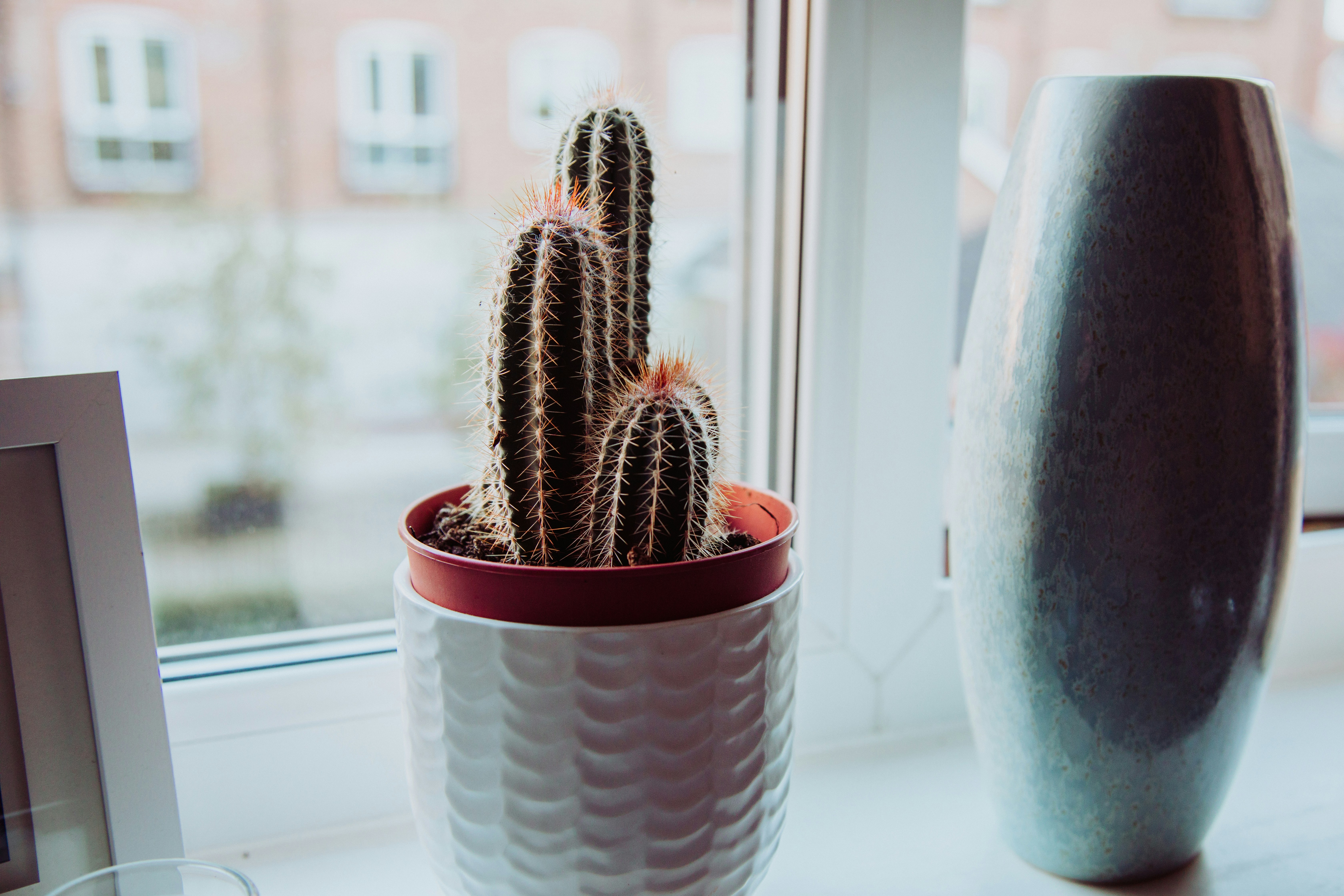 Photo by nicolasjleclercq