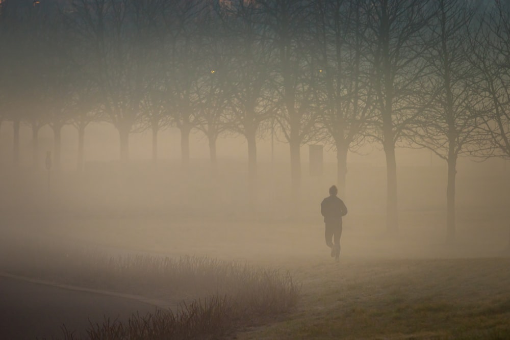 person in black jacket standing on green grass field during foggy weather