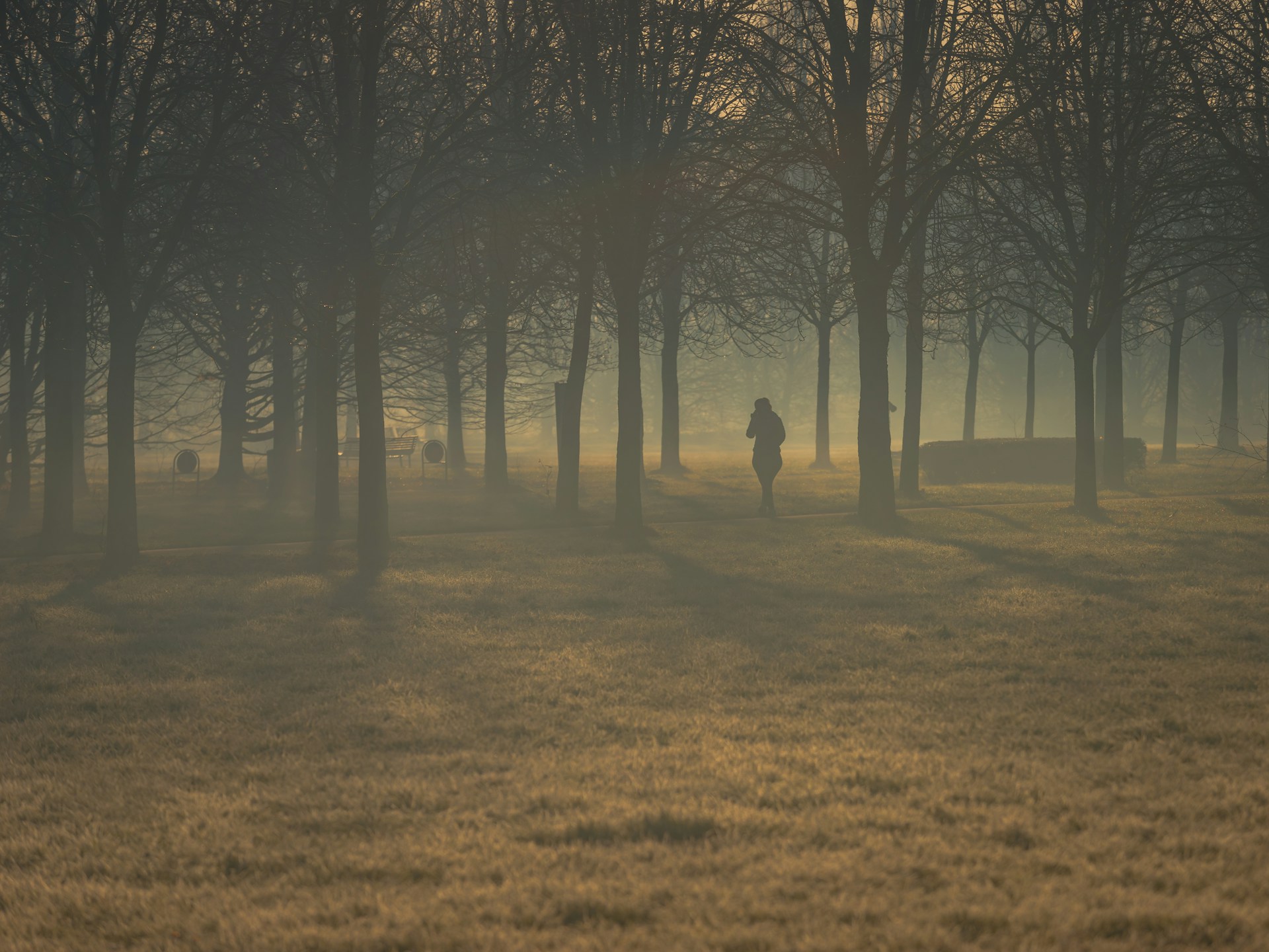 A silhouette of a person walking through a misty forest path, symbolizing the journey and protection of the environment.