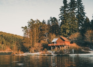 brown wooden house near lake surrounded by trees during daytime