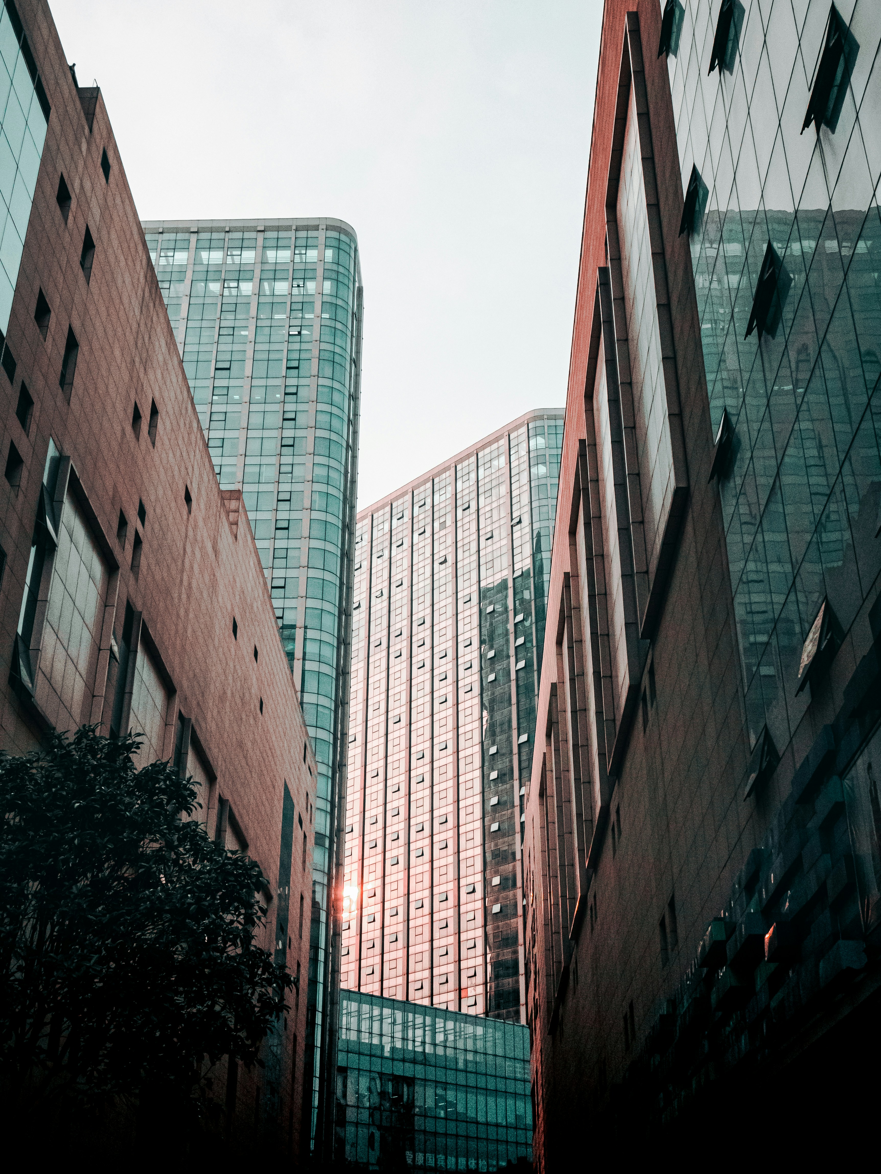 Photo by xiexianghua