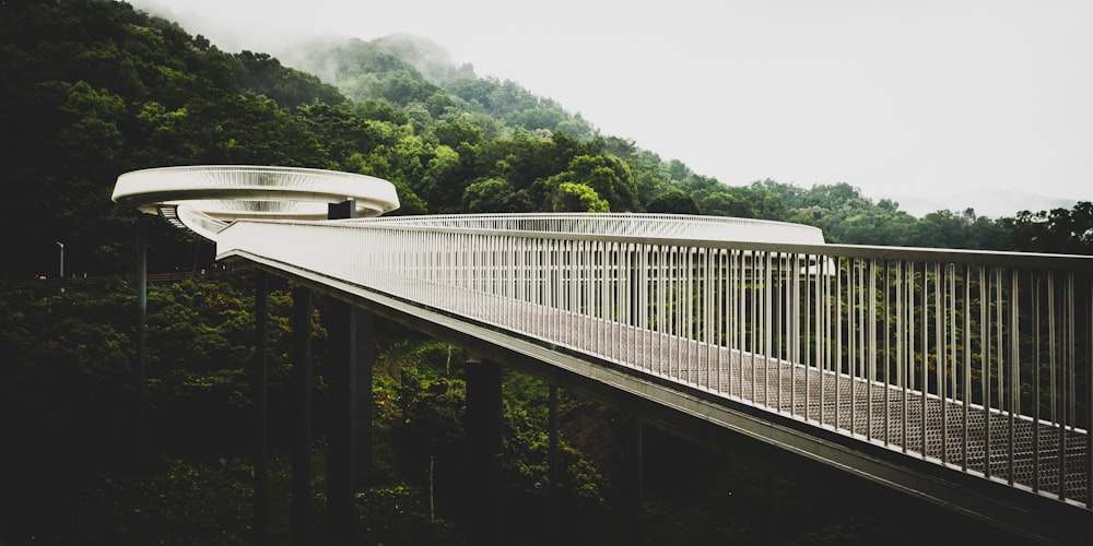 white car on bridge during daytime