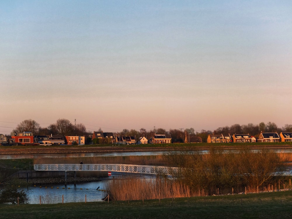 brown grass field near body of water during daytime