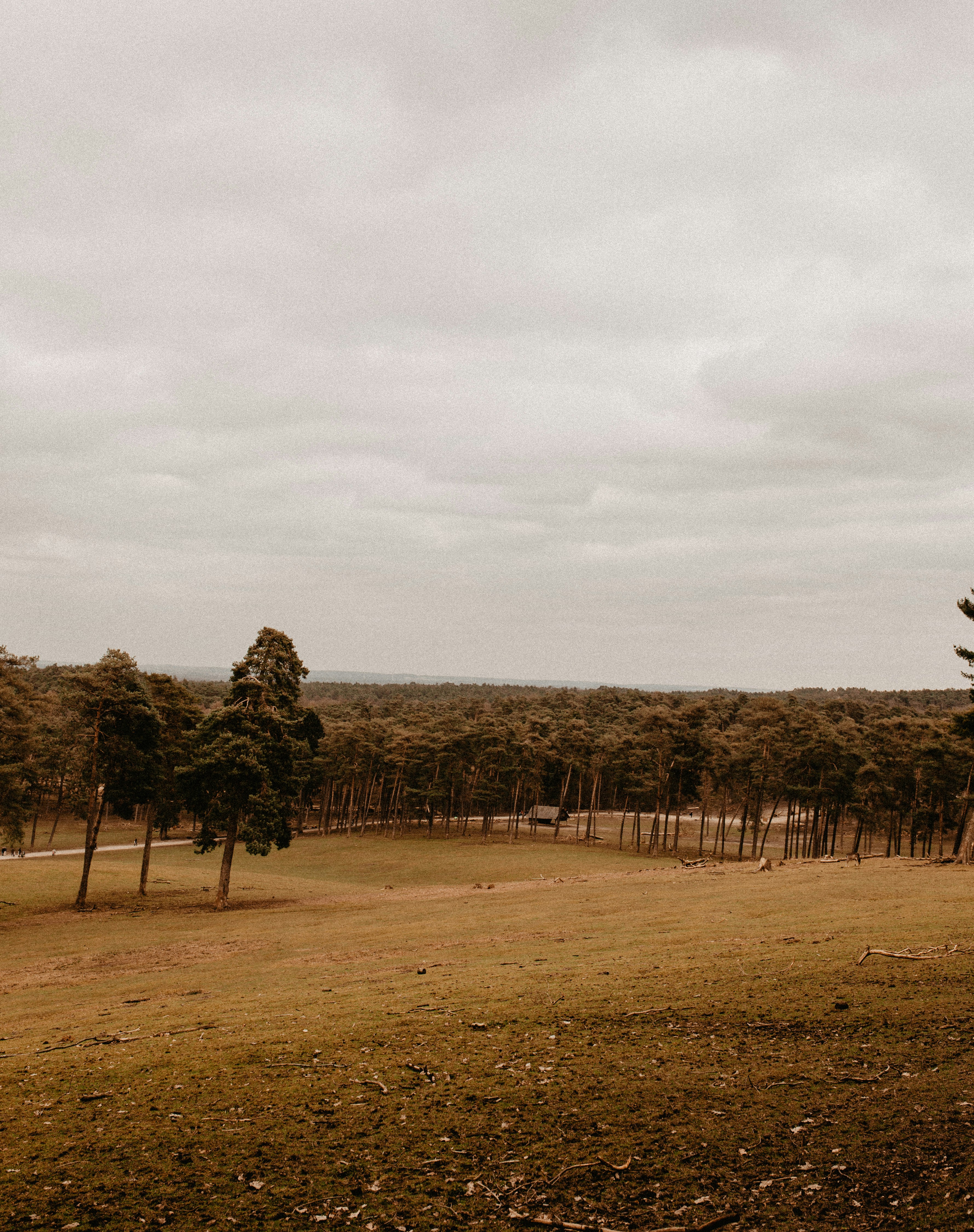 Photo by giorgiiremadze