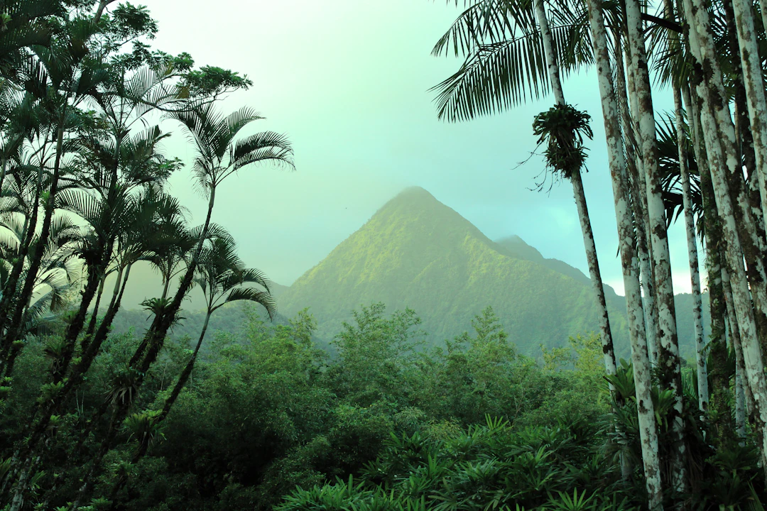 13-Day Central Americas Scenic Budget Route in July