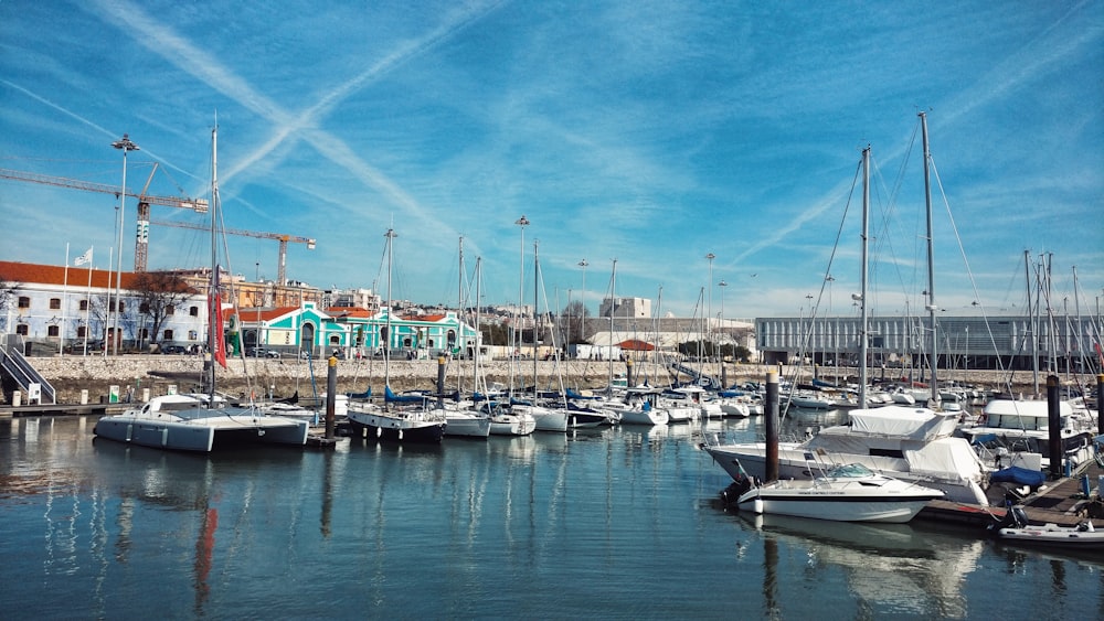 white and blue boat on dock during daytime