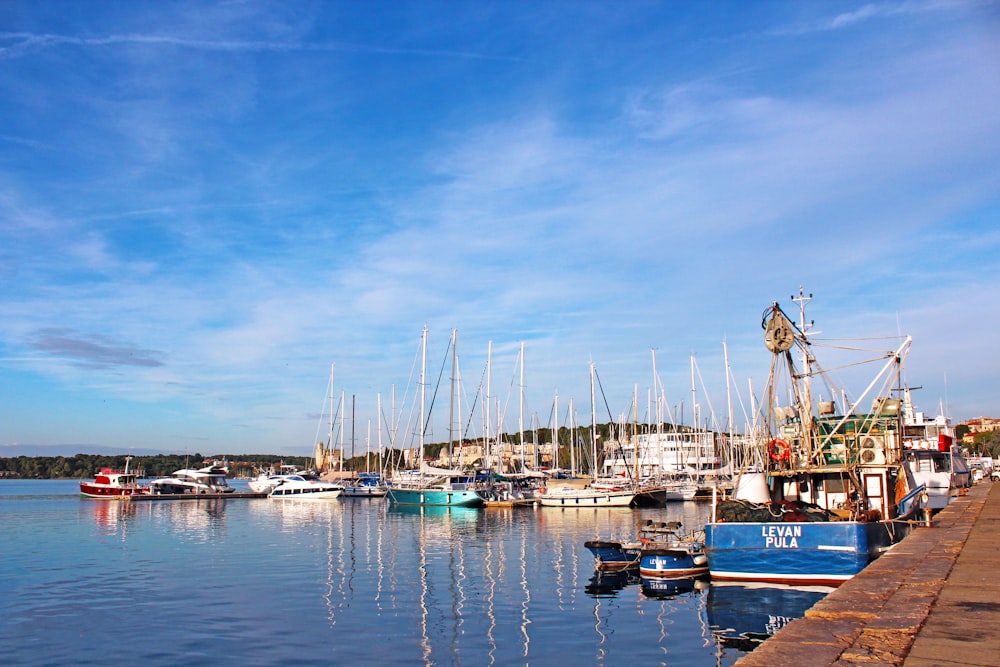 white and blue boat on sea under blue sky during daytime