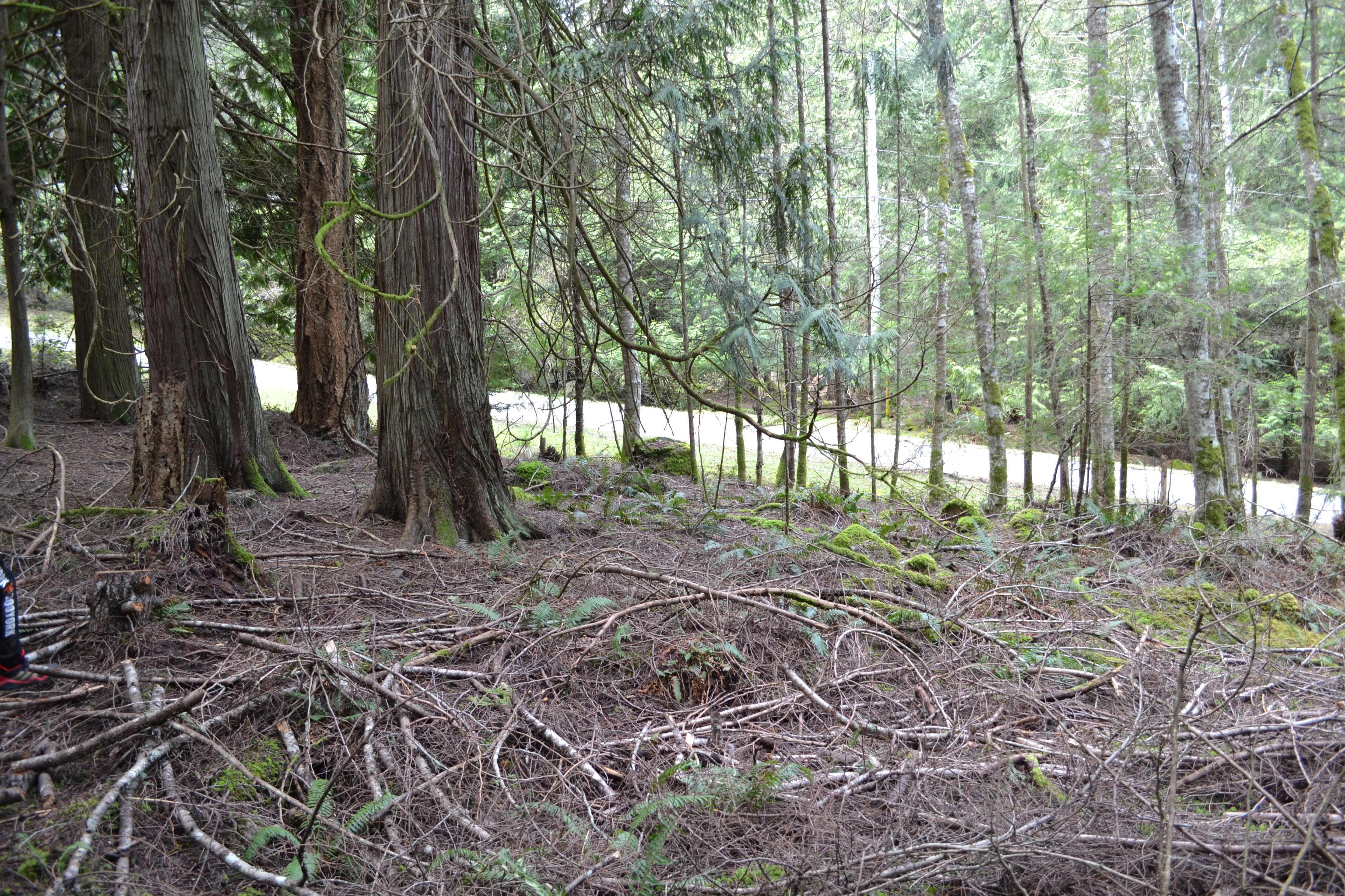 Photo by reillylanephotography