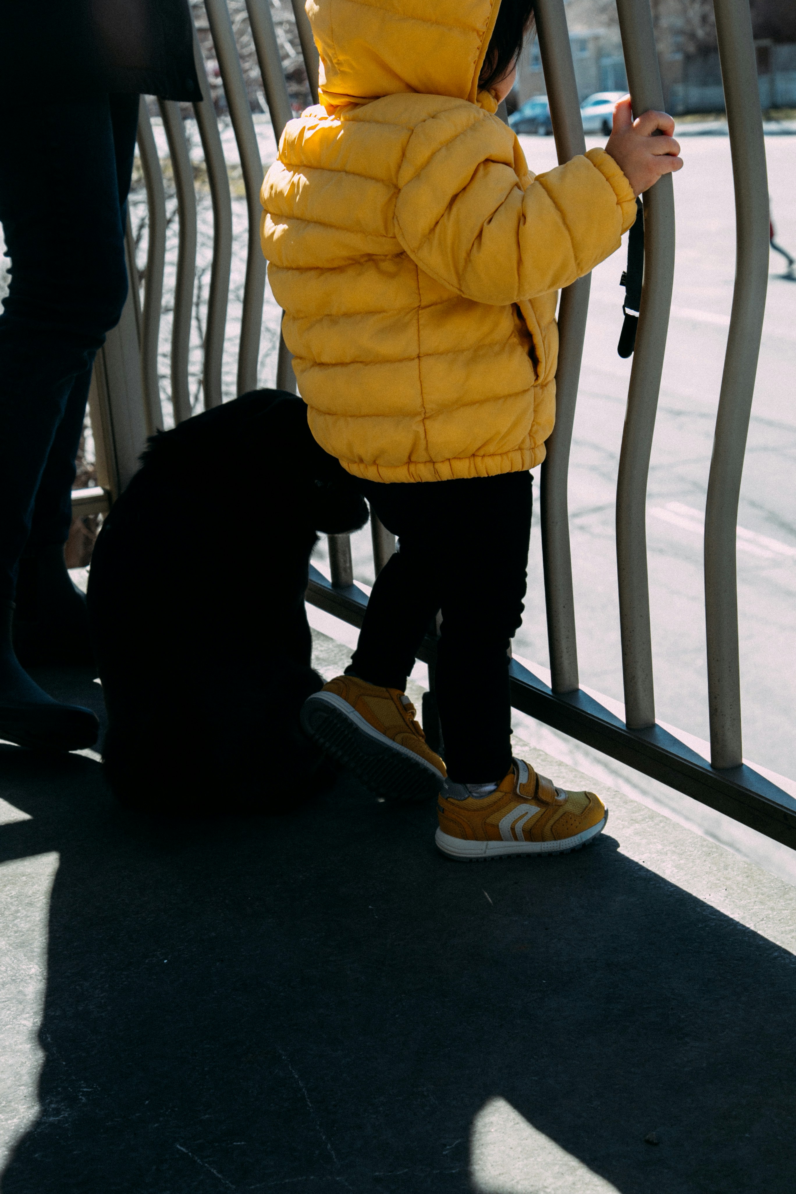 person in brown jacket and black pants standing beside black dog